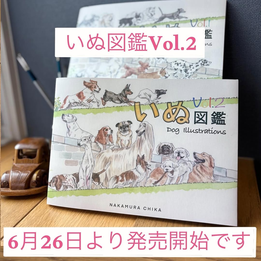 Post 8 by 中村ちか【イラストレーター】 on Instagram (carousel)