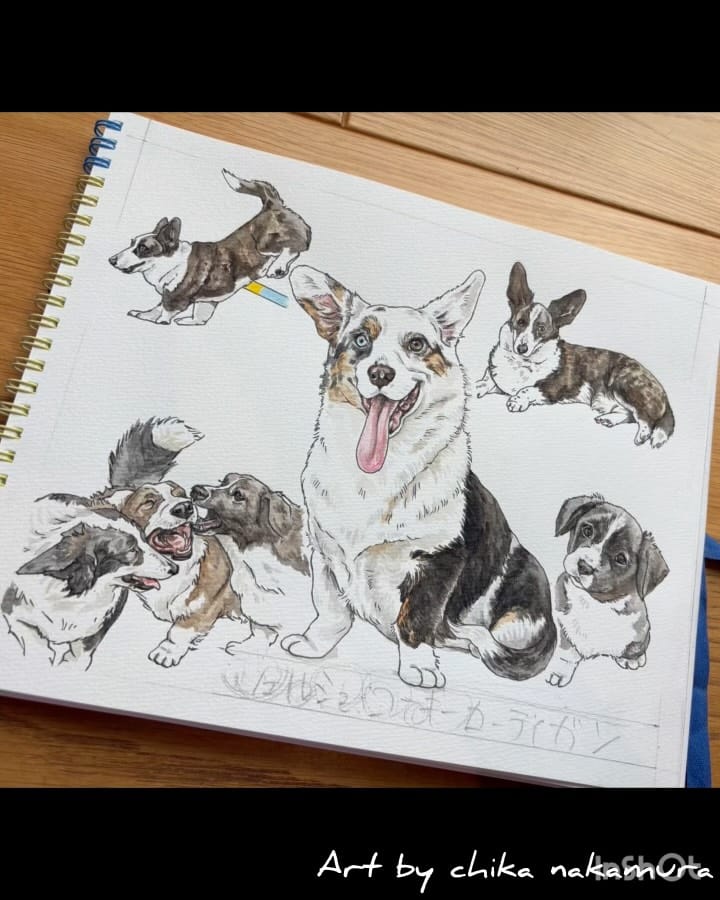 Post 1 by 中村ちか【イラストレーター】 on Instagram (video)