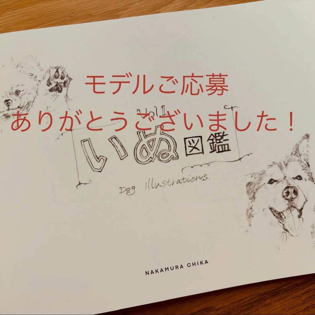 Post 10 by 中村ちか【イラストレーター】 on Instagram (carousel)