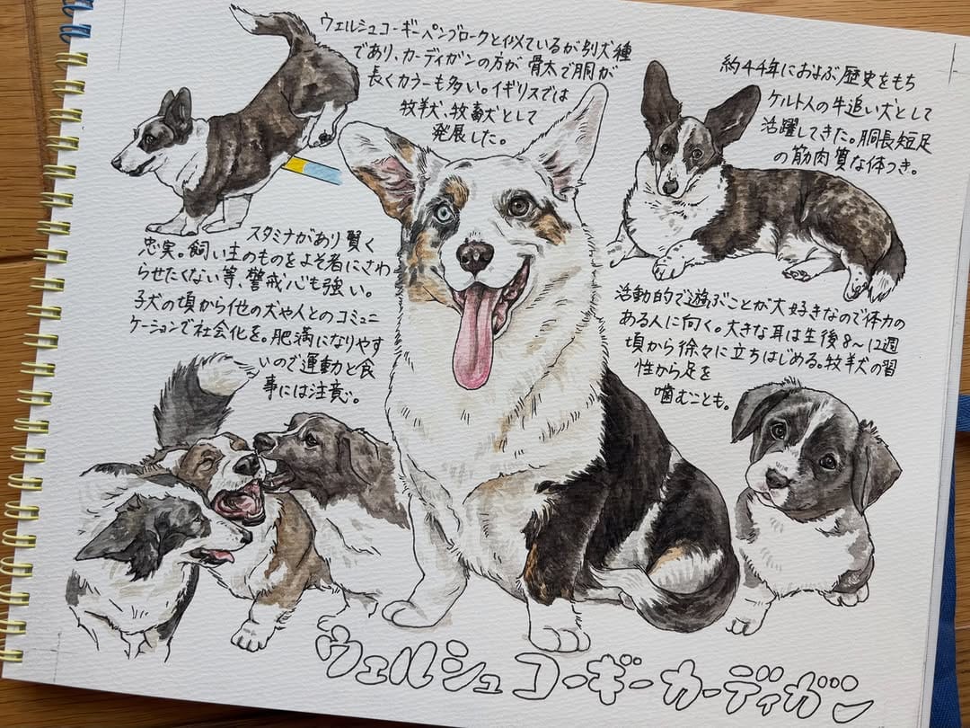 Post 2 by 中村ちか【イラストレーター】 on Instagram (carousel)
