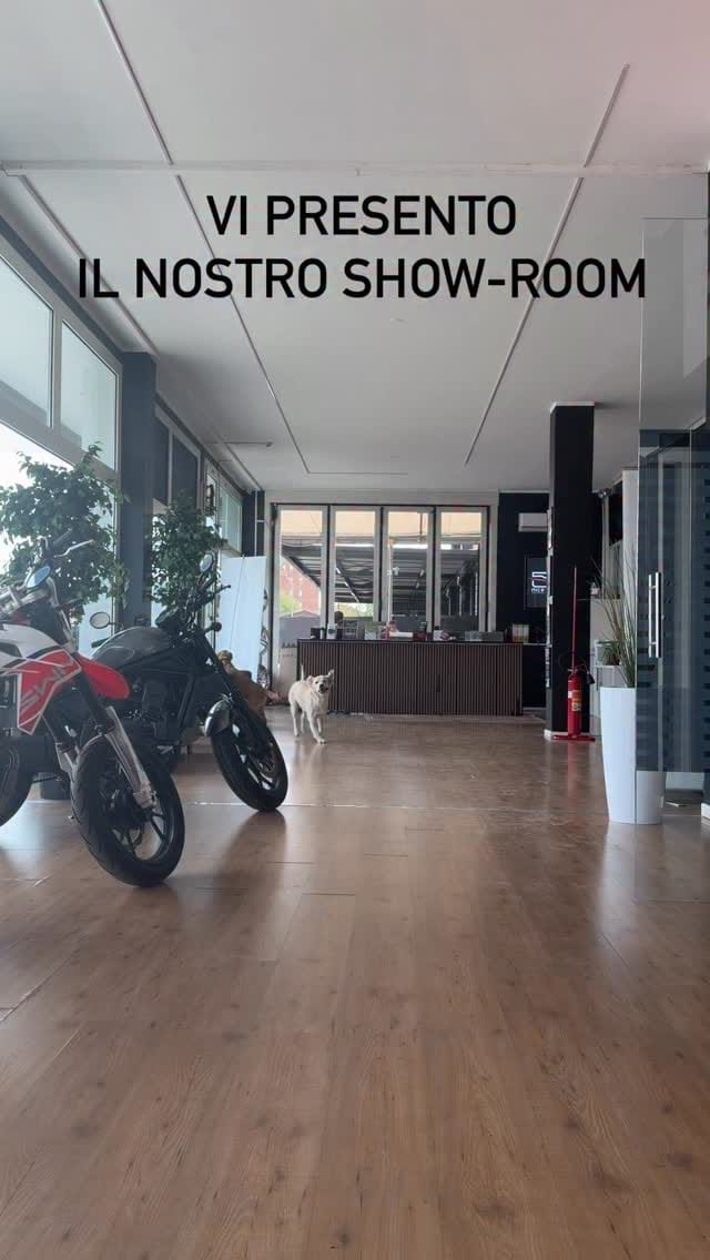 Post 3 by Nice’s Car - Elio Feletti Automobili on Instagram (video)