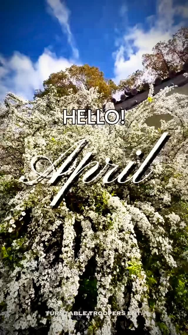 Post 7 by DJ $HIN on Instagram (video)