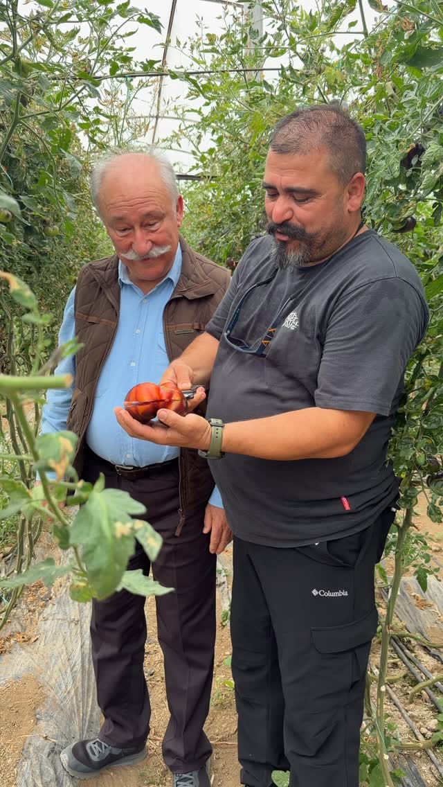 Post 5 by Altan Erkekli on Instagram (video)