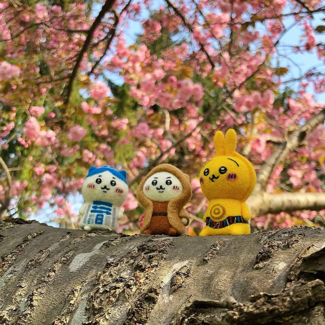 Post 5 by 雅にい on Instagram (image)
