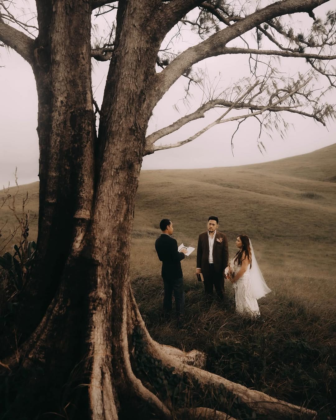 Post 10 by Overcast Studios on Instagram (carousel)