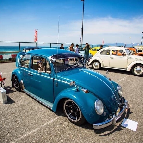 Post 9 by l360seablue 1966 on Instagram (image)