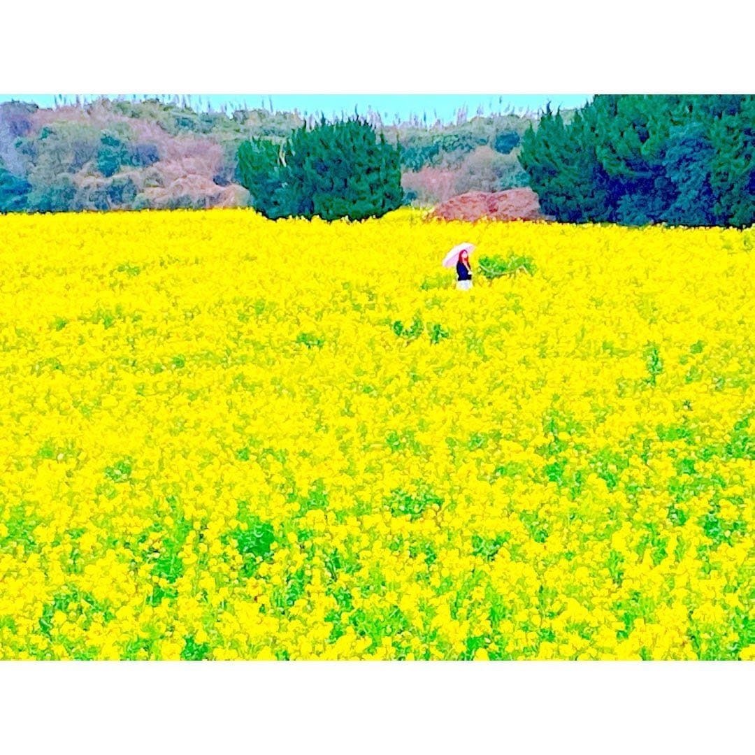 Post 9 by 写真で奏でるカラーアーティスト　たきなみ かなみ on Instagram (carousel)