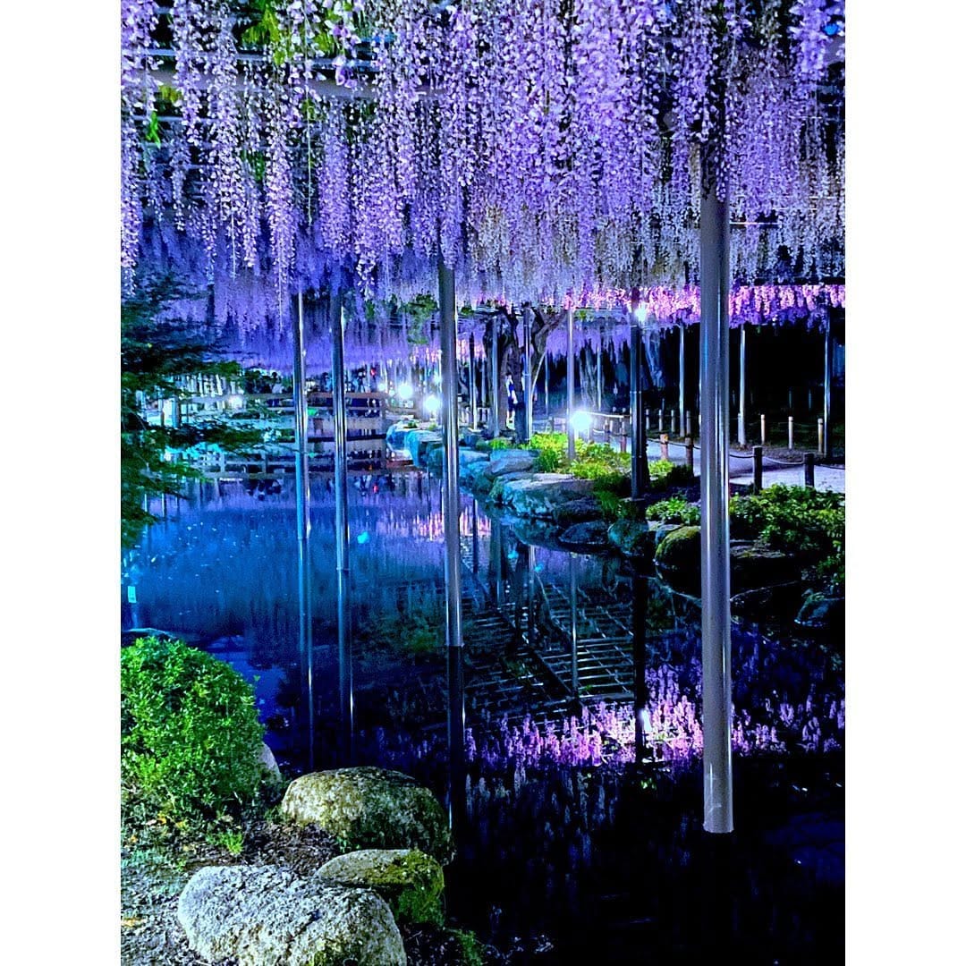 Post 8 by 写真で奏でるカラーアーティスト　たきなみ かなみ on Instagram (carousel)