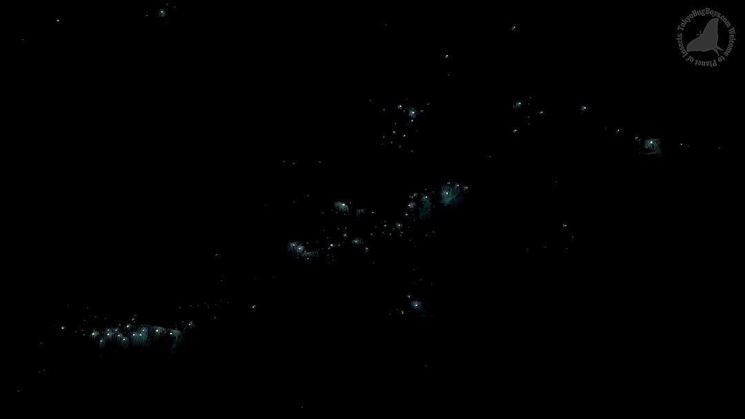 Post 8 by Fumihiko_Hirai on Instagram (video)