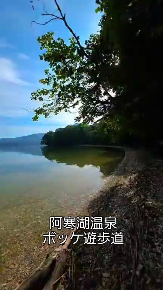 Post 5 by TATSUO YAMAMOTO on Instagram (video)