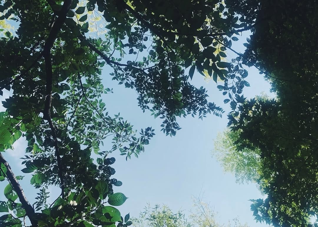 Post 5 by Kitri on Instagram (image)