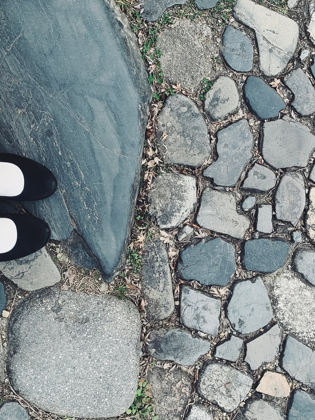 Post 9 by Kitri on Instagram (image)