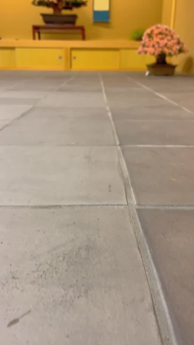 Post 2 by 秋山 実　Akiyama Minoru on Instagram (video)