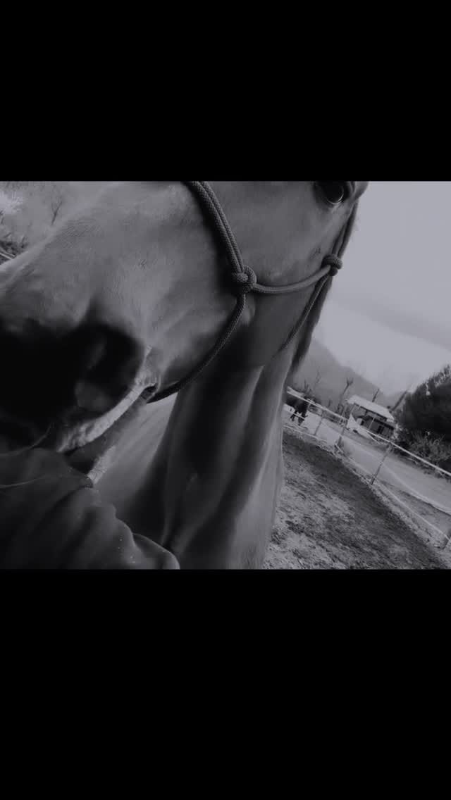 Post 3 by melaniarusso on Instagram (video)