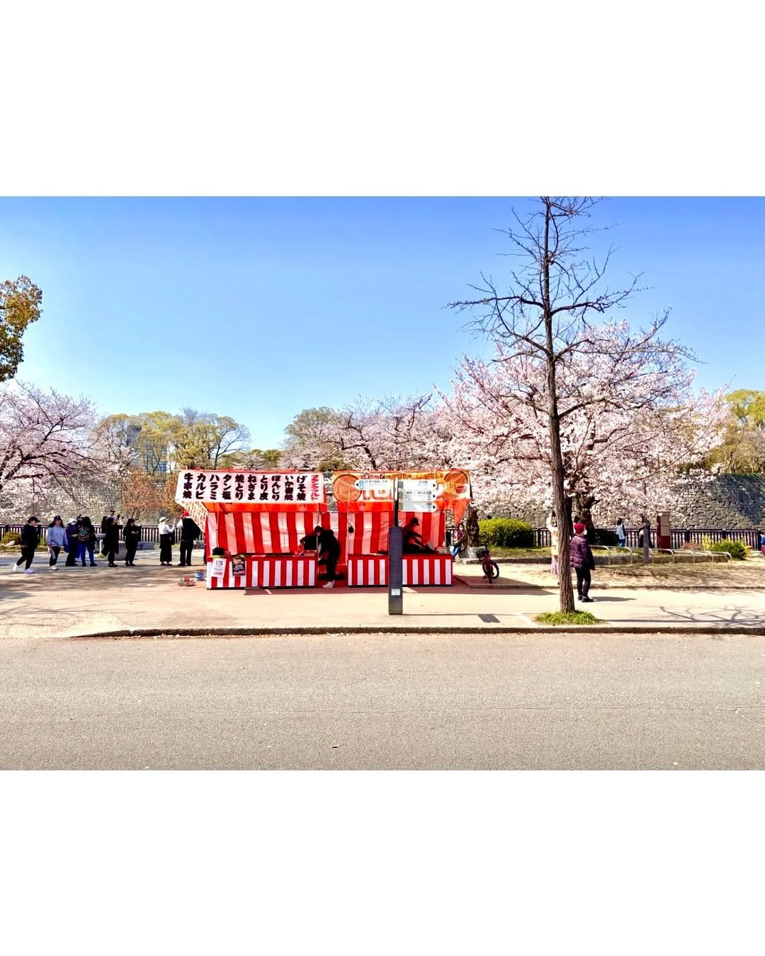 Post 7 by Junichi Suzuki on Instagram (carousel)