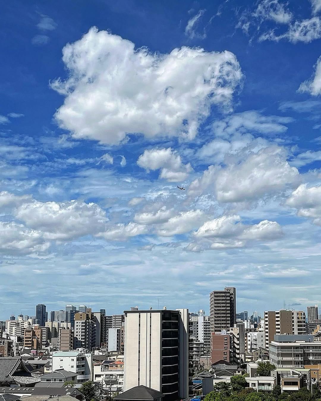 Post 3 by Junichi Suzuki on Instagram (image)