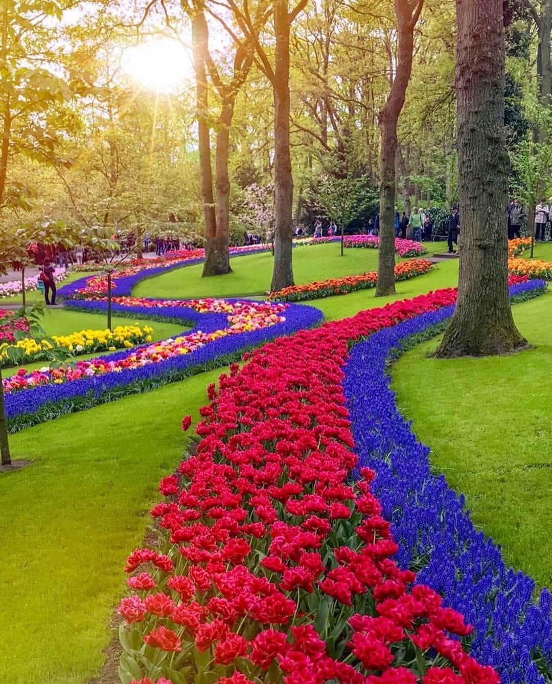 Post 7 by Visit_Netherlands 🇳🇱 on Instagram (image)