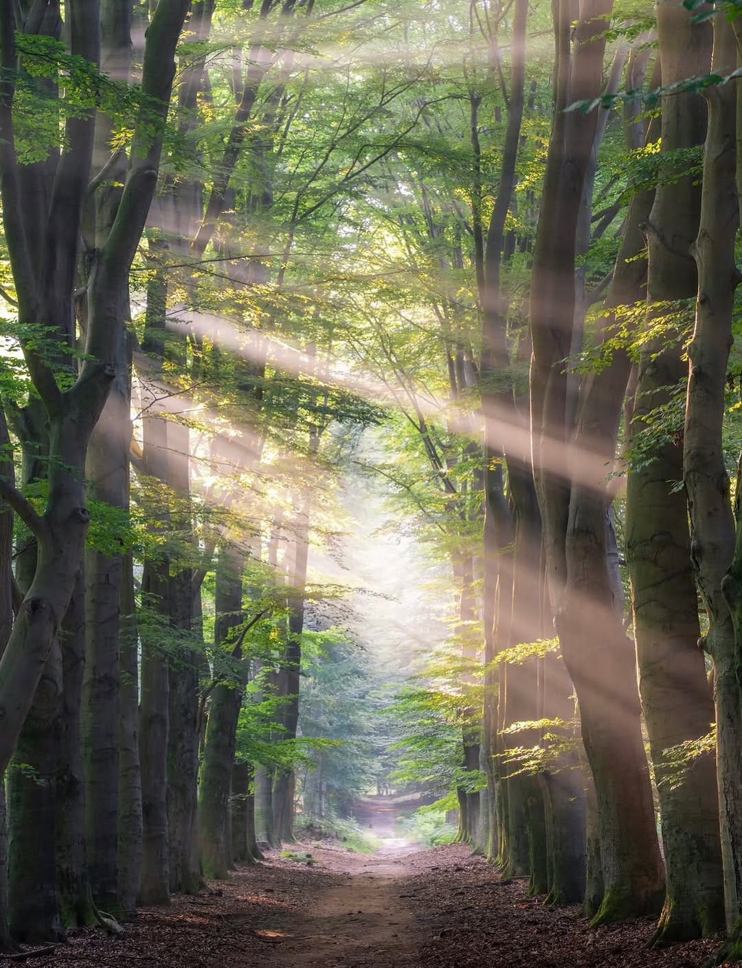 Post 2 by Ivo | Nature Photographer on Instagram (image)