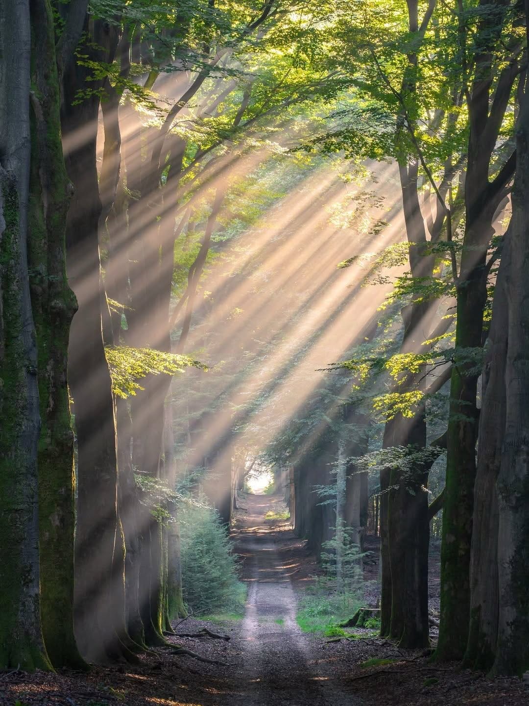 Post 1 by Ivo | Nature Photographer on Instagram (carousel)