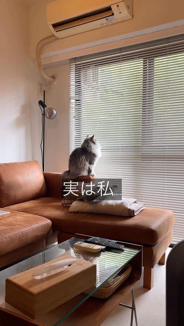 Post 6 by FanFan Irene💫 on Instagram (video)