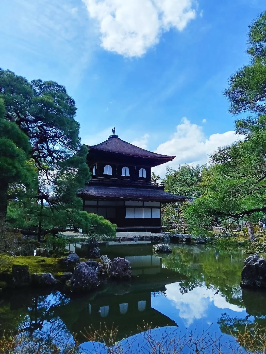Post 6 by 米澤侊力/Kohriki Yonezawa on Instagram (image)