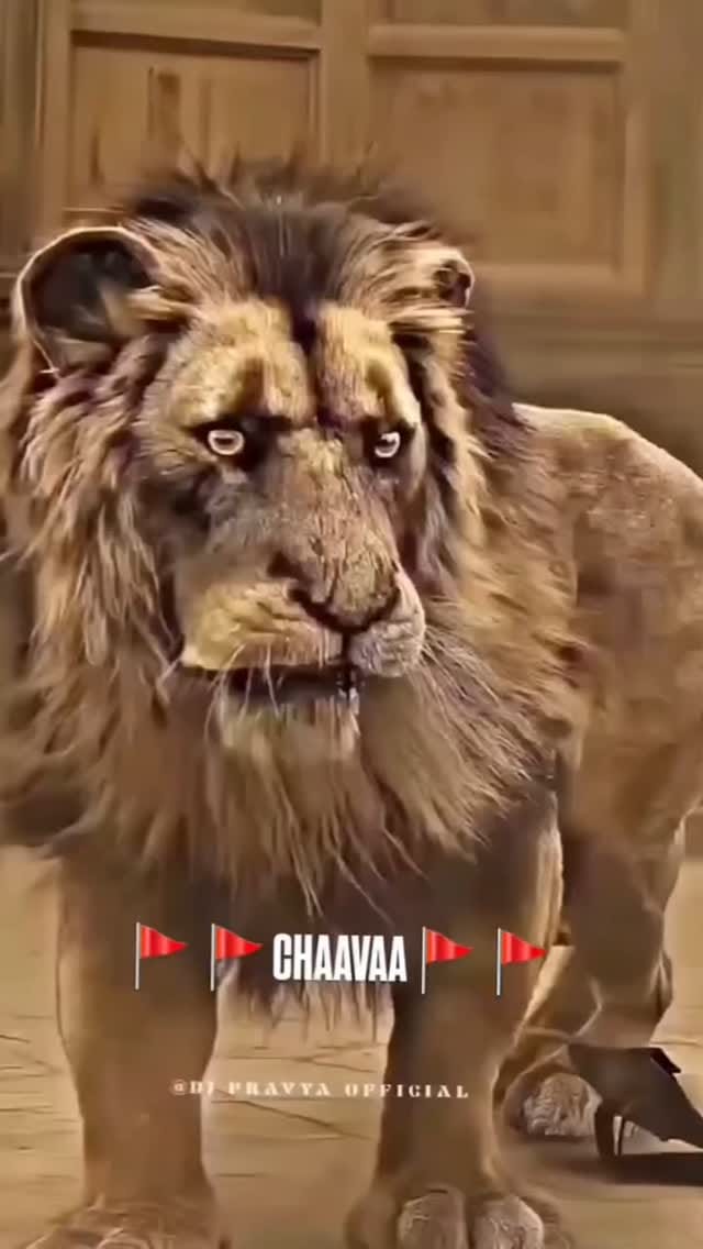 Post 4 by 💖love status💖 on Instagram (video)