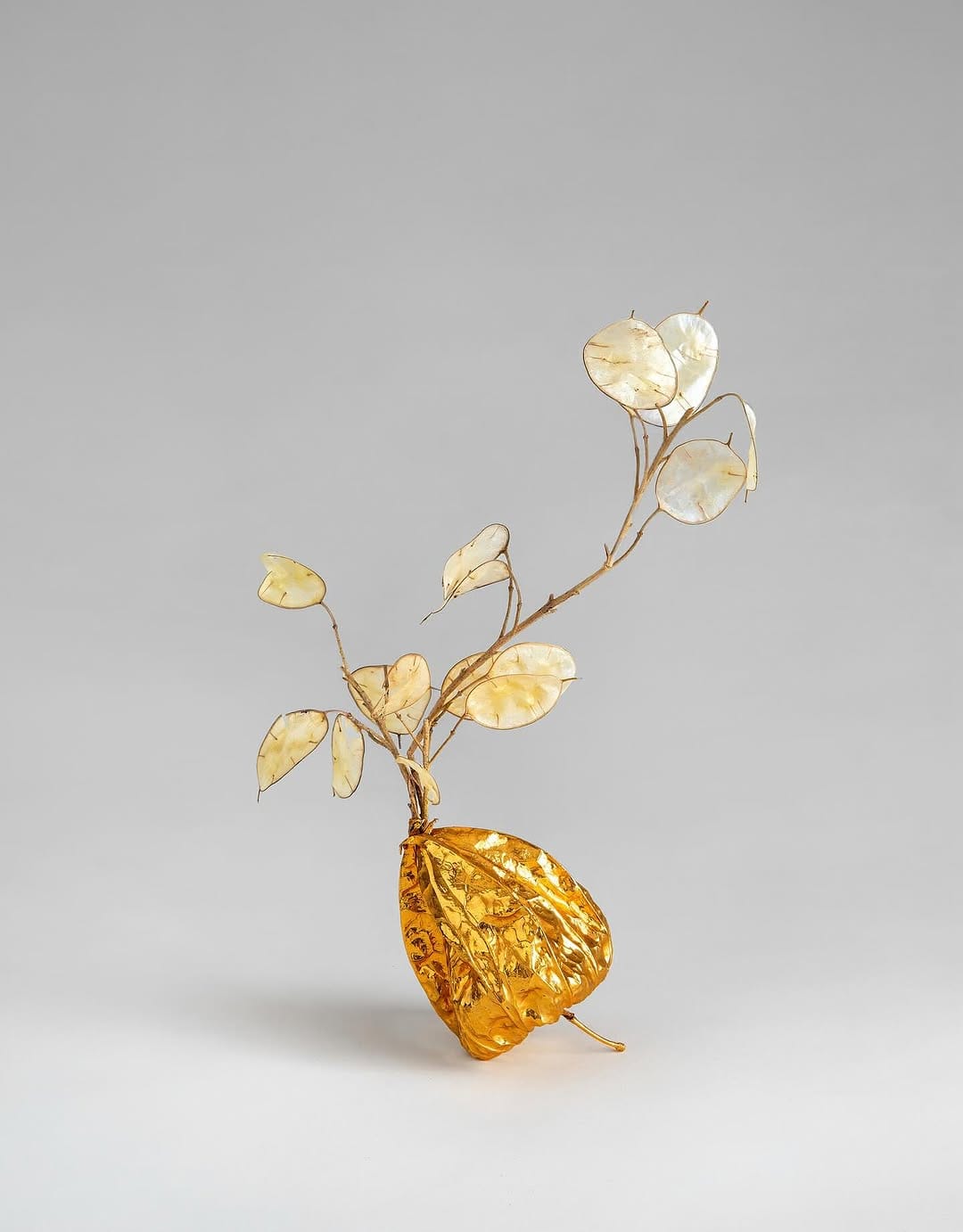 Post 9 by Mirit Weinstock Jewelry / Ikebana / Art on Instagram (image)