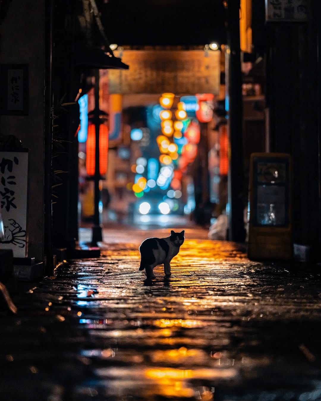 Post 9 by UC on Instagram (image)