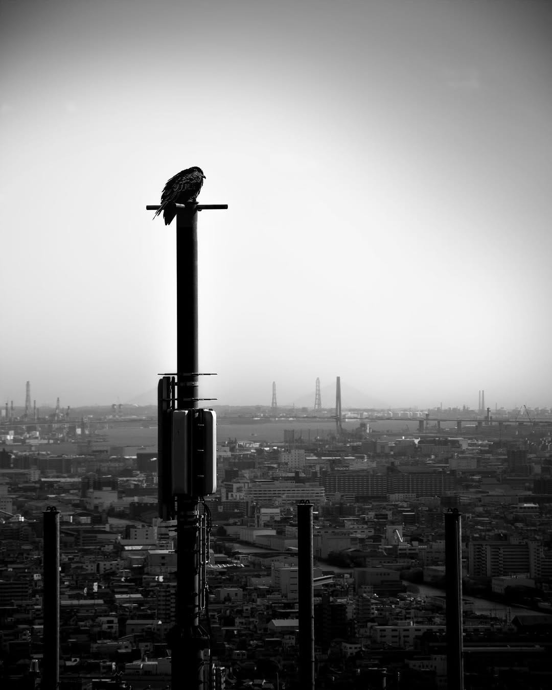 Post 3 by Arba | Takaya Nishihata on Instagram (image)