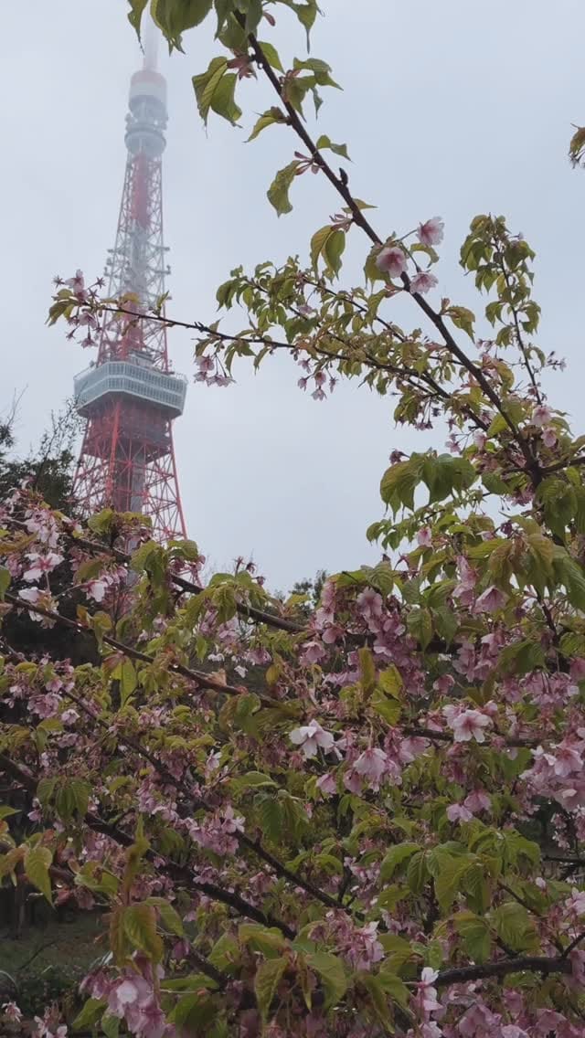 Post 4 by ユウ.イタバシ on Instagram (video)