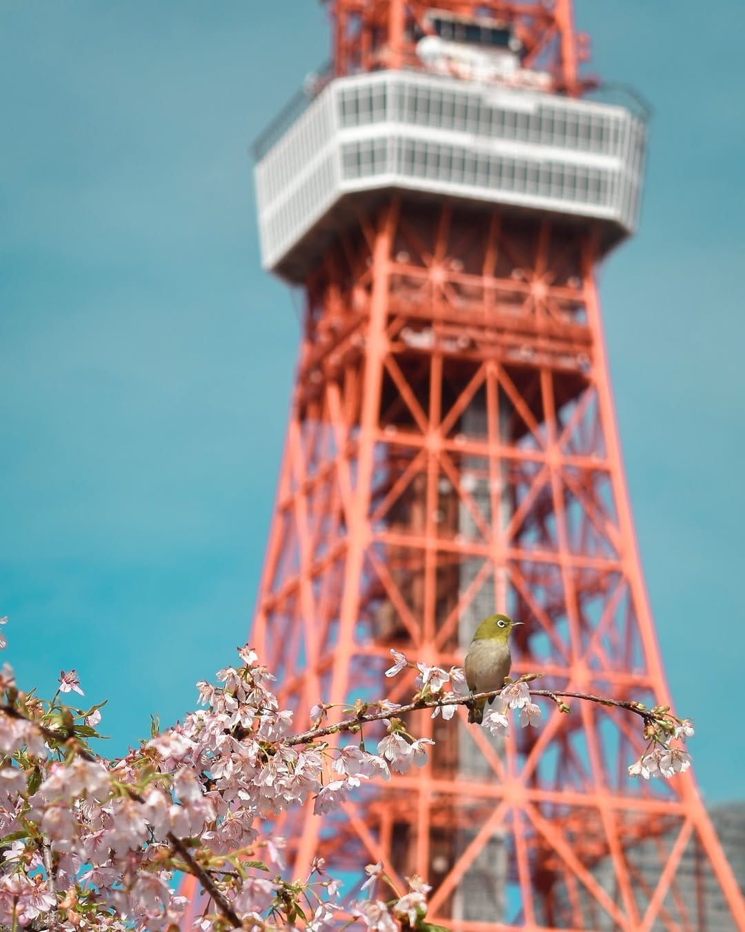 Post 5 by ユウ.イタバシ on Instagram (carousel)