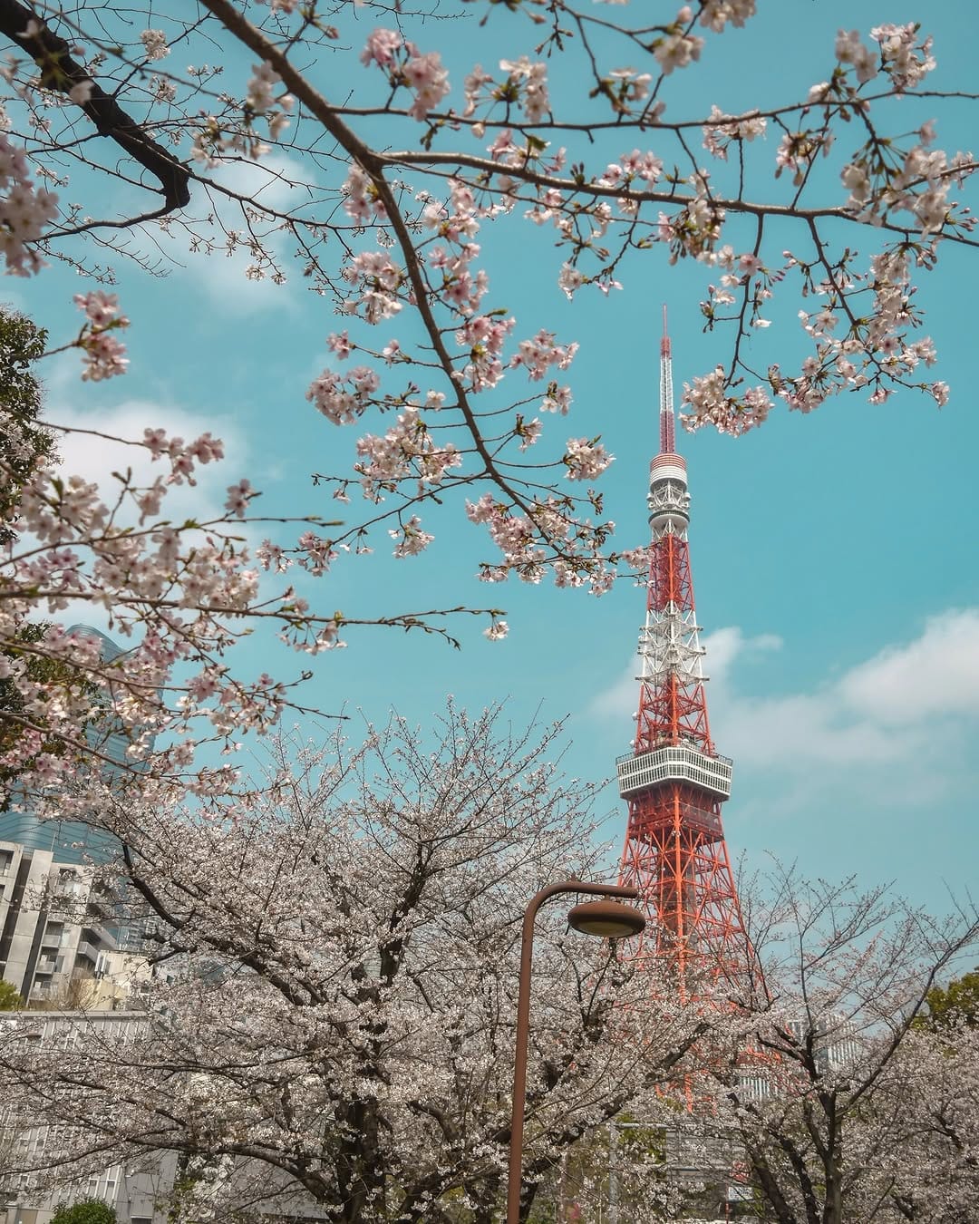 Post 3 by ユウ.イタバシ on Instagram (carousel)