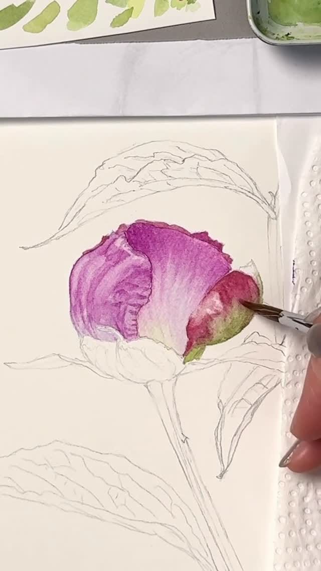 Post 8 by 宮澤香代子   KAYOKO MIYAZAWA on Instagram (video)