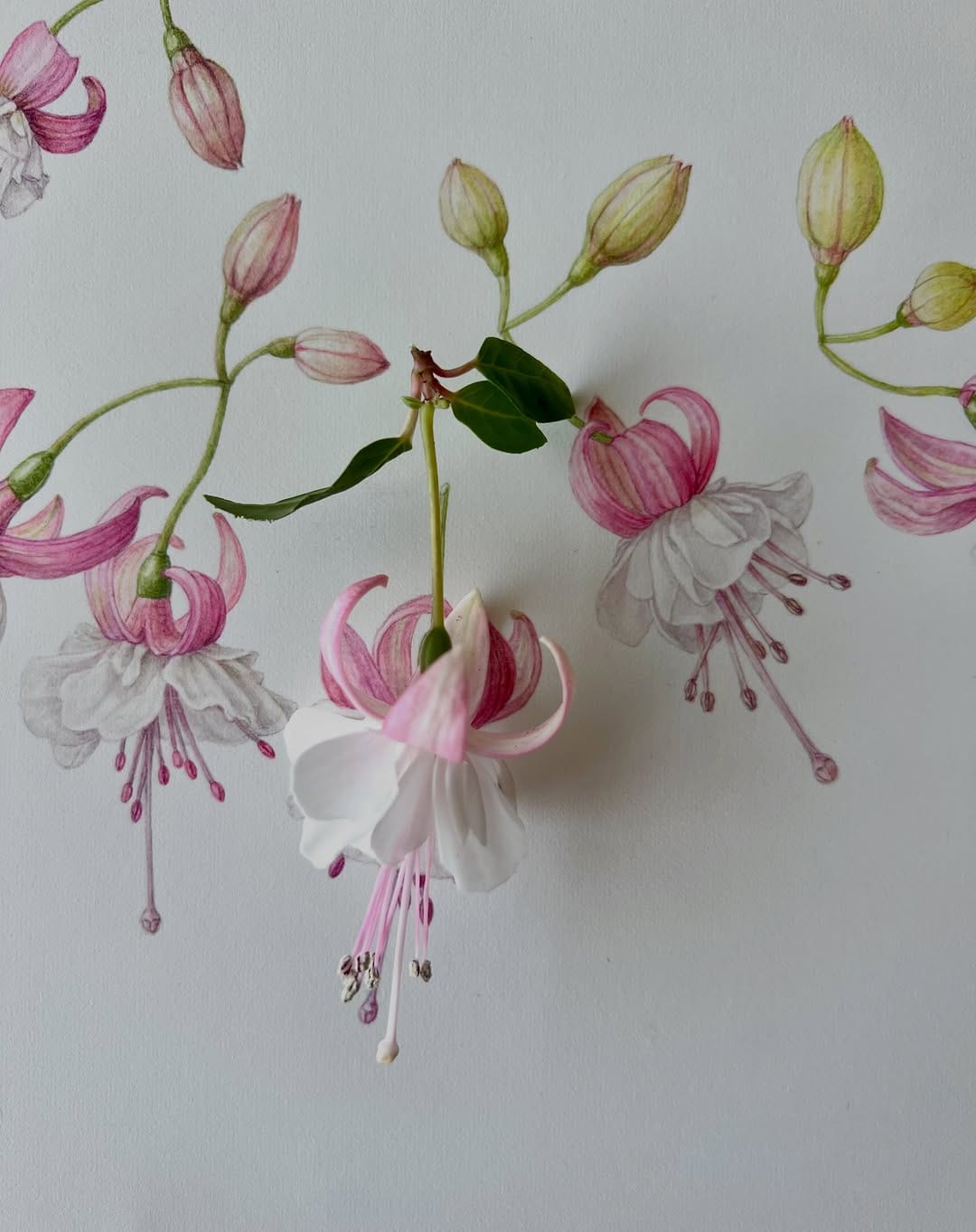 Post 3 by 宮澤香代子   KAYOKO MIYAZAWA on Instagram (carousel)