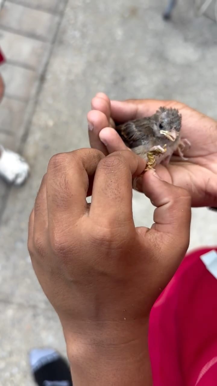 Post 1 by ️• ROY SINGH • on Instagram (video)