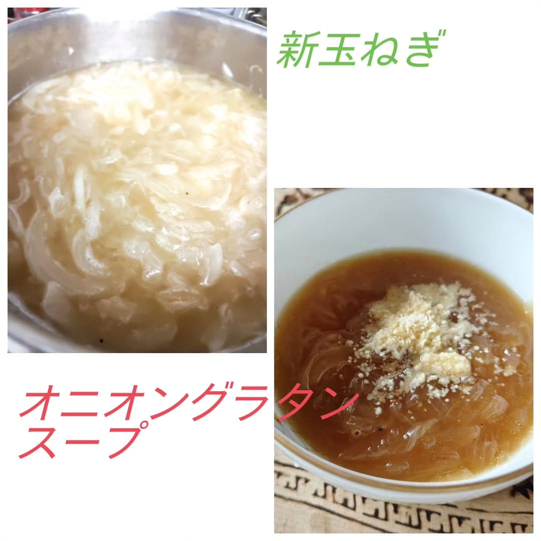 Post 1 by 池上 季実子 on Instagram (image)