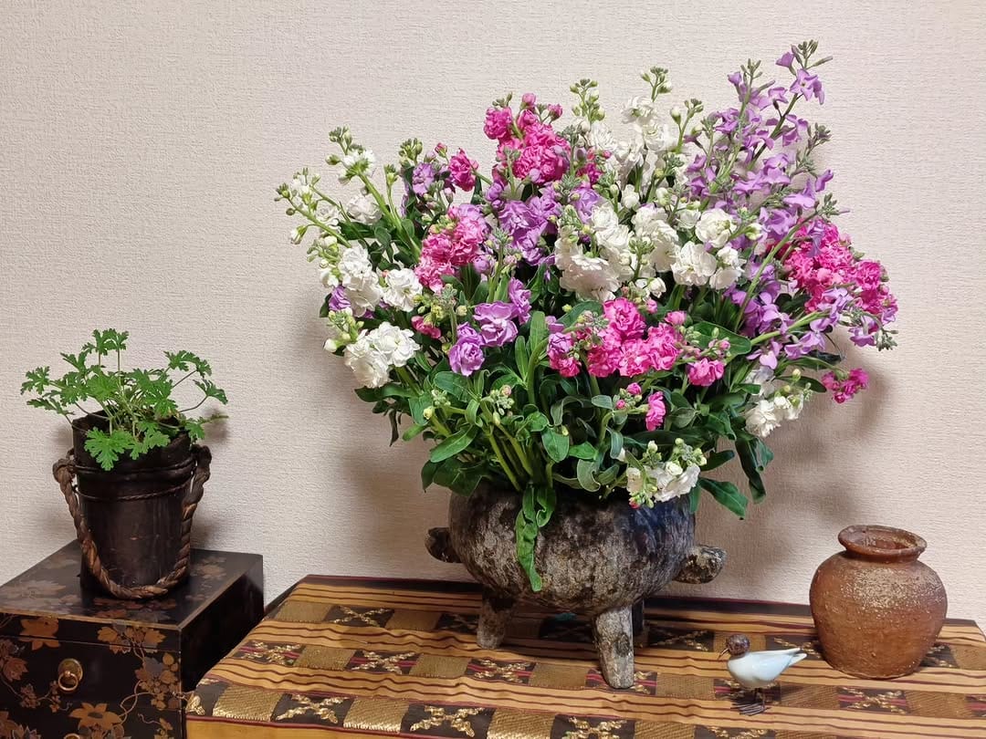 Post 9 by 池上 季実子 on Instagram (image)