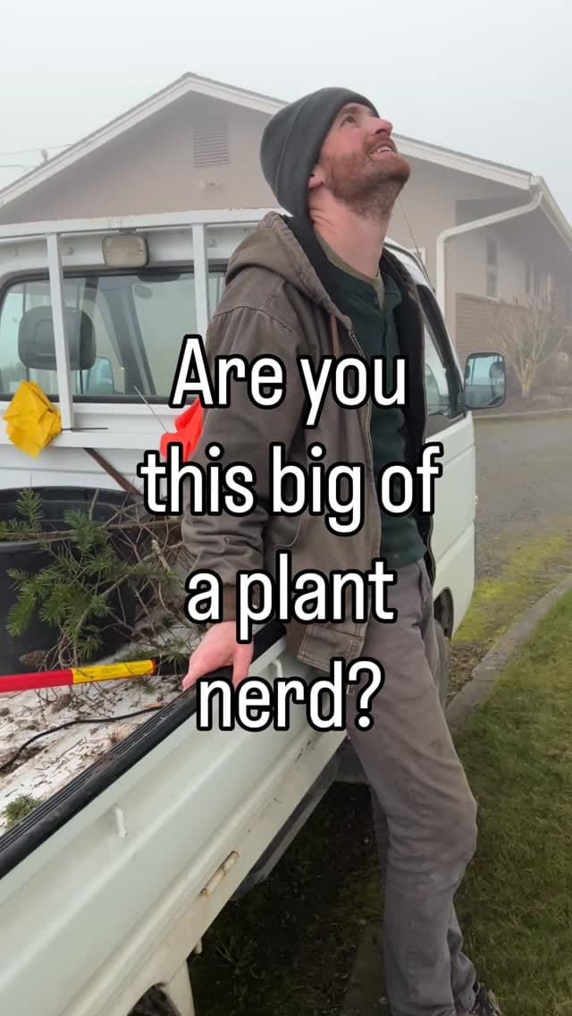 Post 8 by Conifer Kingdom on Instagram (video)