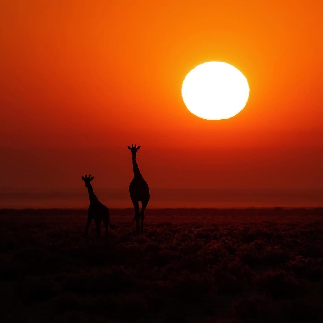 Post 9 by Sander Bakker en Lidia Olthoff on Instagram (image)