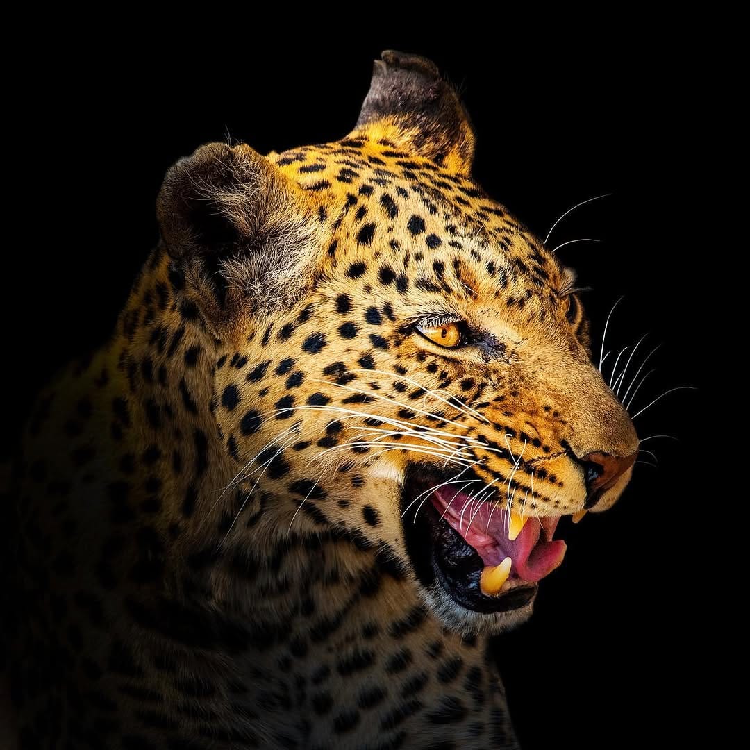 Post 10 by Sander Bakker en Lidia Olthoff on Instagram (image)