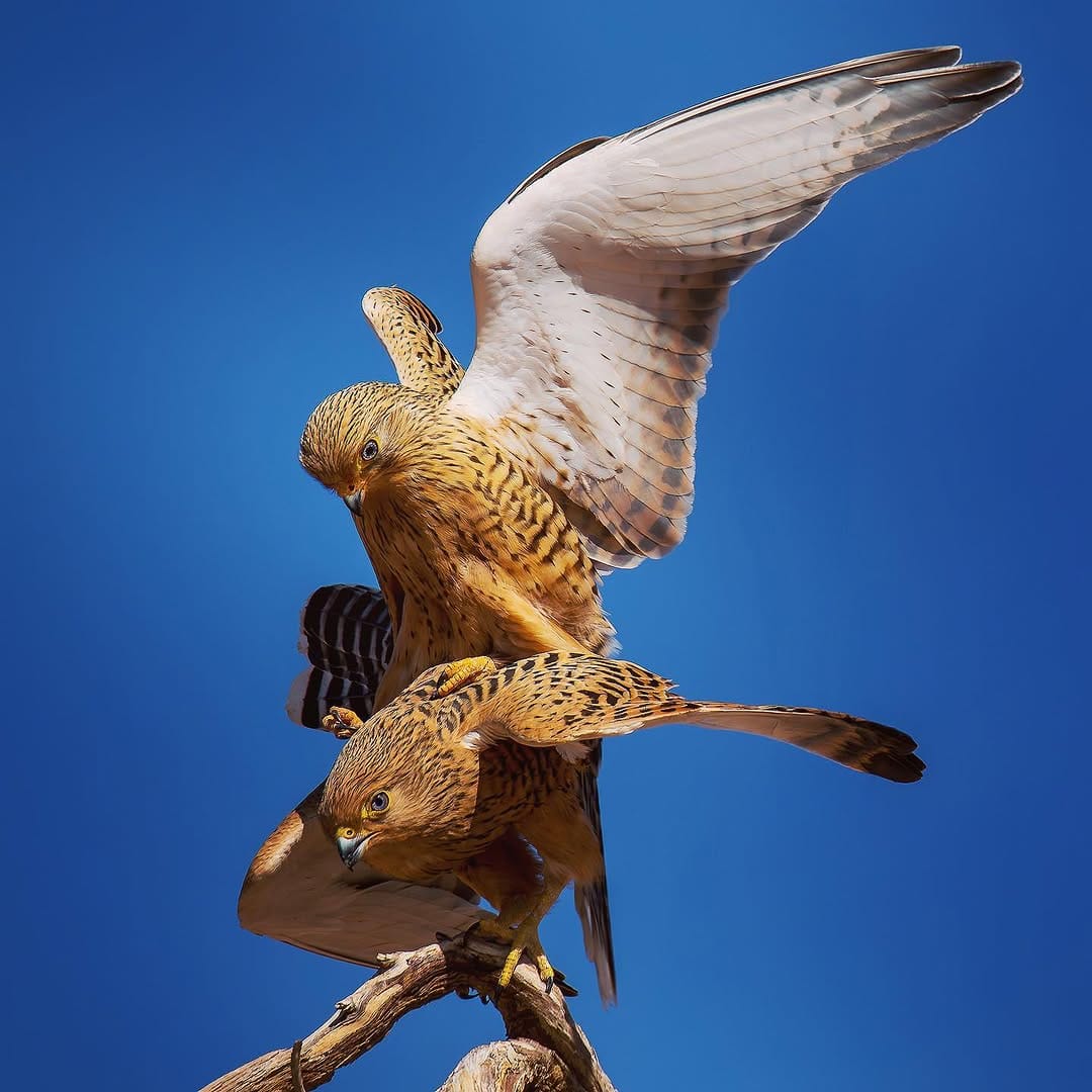 Post 8 by Sander Bakker en Lidia Olthoff on Instagram (image)