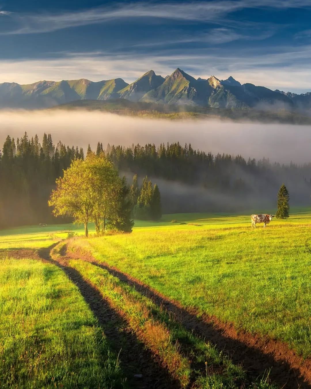 Post 2 by Travel/Adventure/Lifestyle on Instagram (image)