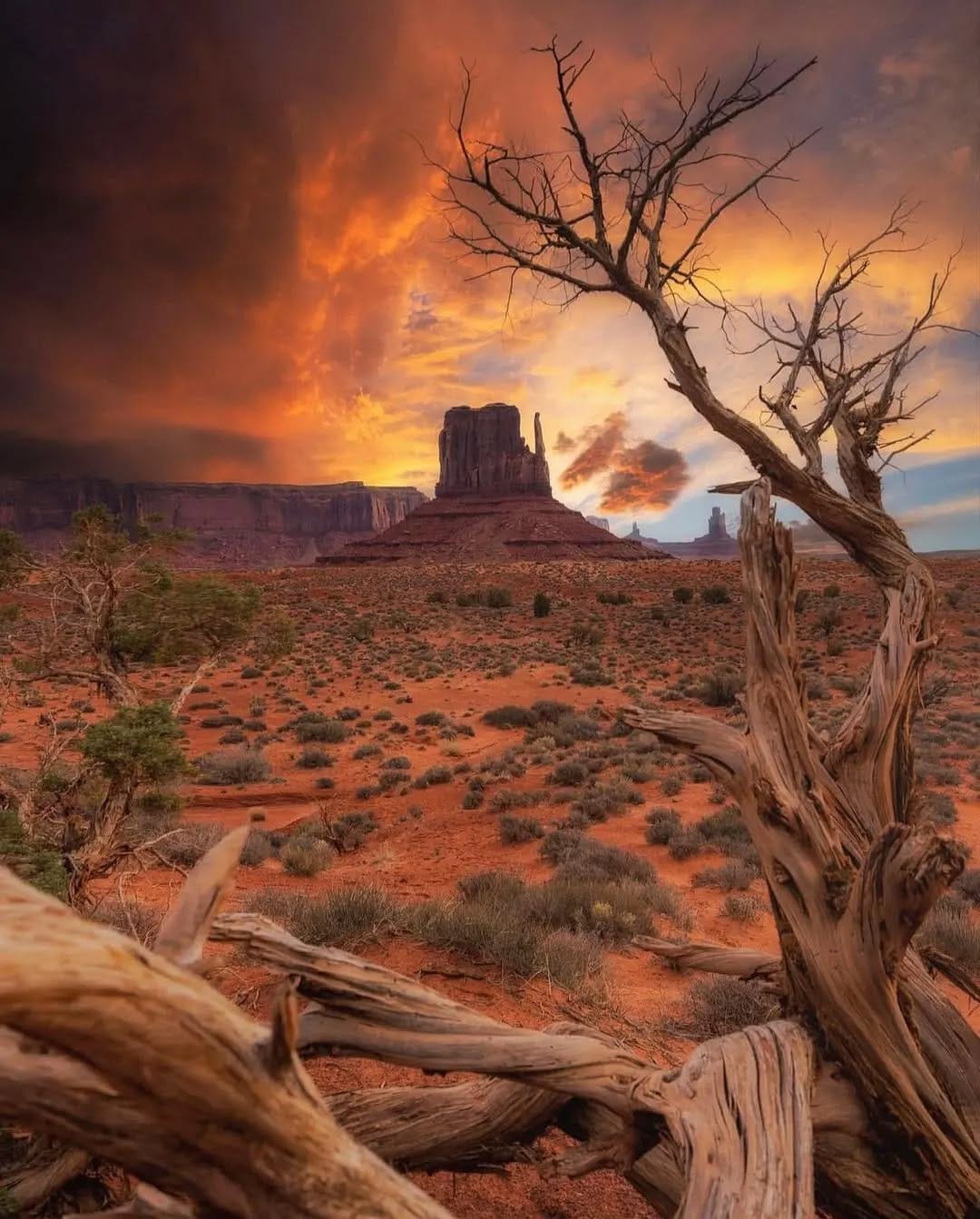 Post 5 by Travel/Adventure/Lifestyle on Instagram (image)