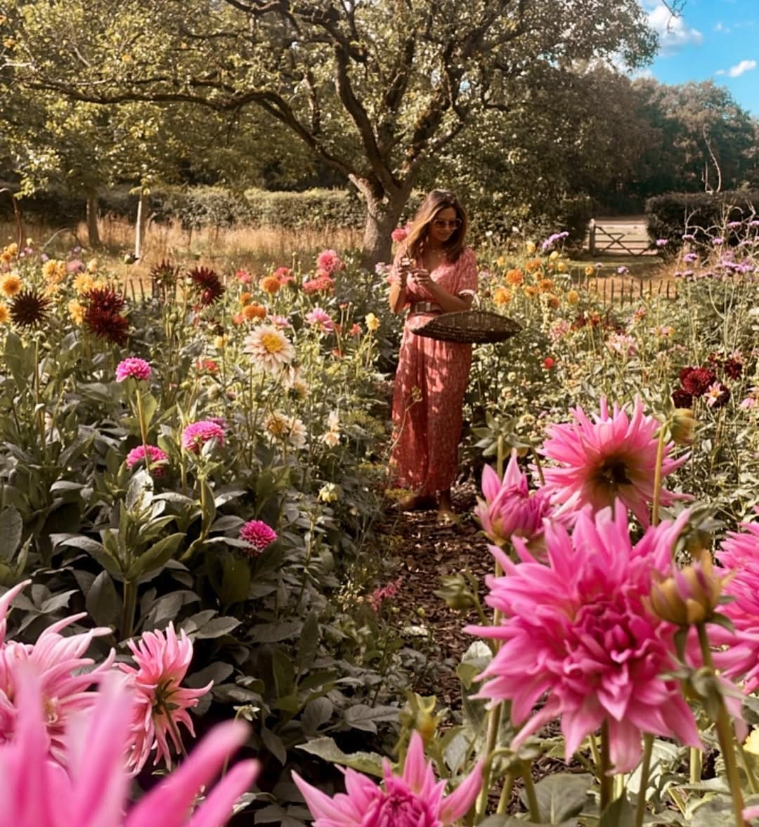 Post 9 by Sarah Lingg on Instagram (carousel)