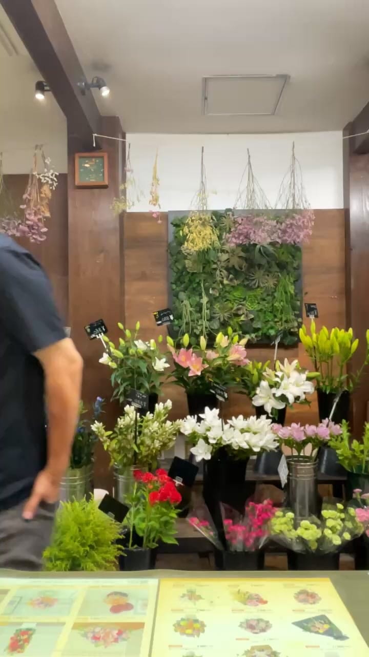 Post 7 by Aogu Saito on Instagram (video)