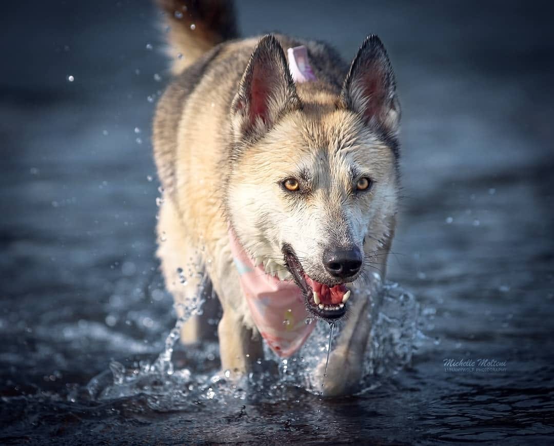 Post 10 by 𝓜𝓲𝓬𝓱𝓮𝓵𝓵𝓮 𝓮 𝓛𝓾𝓷𝓪 on Instagram (image)