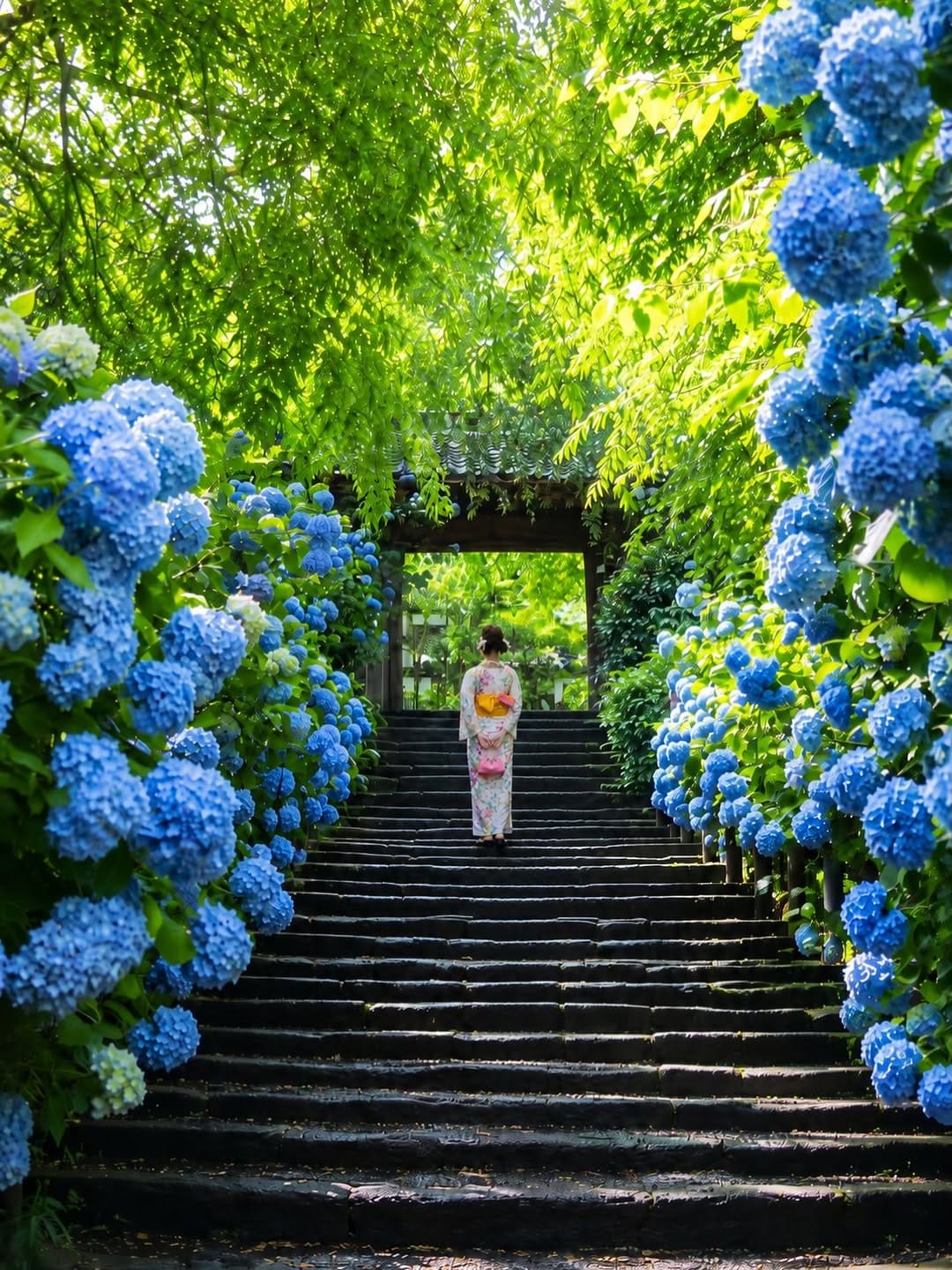 Post 2 by takeda on Instagram (image)