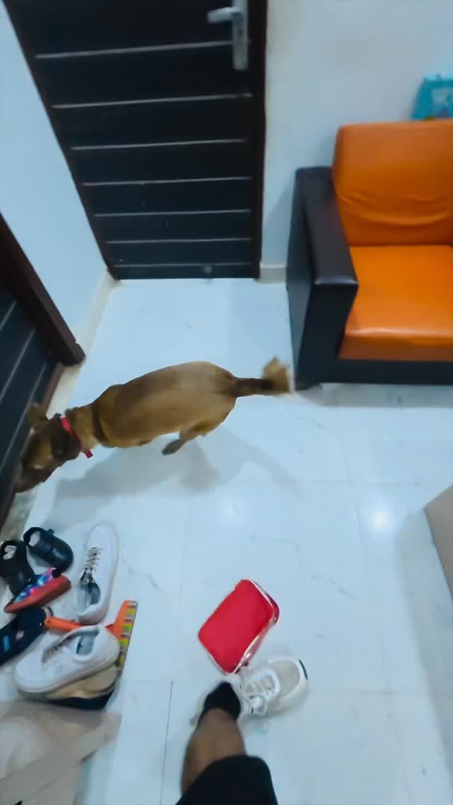 Post 3 by DILJEET SINGH ( Mr Money ) on Instagram (video)