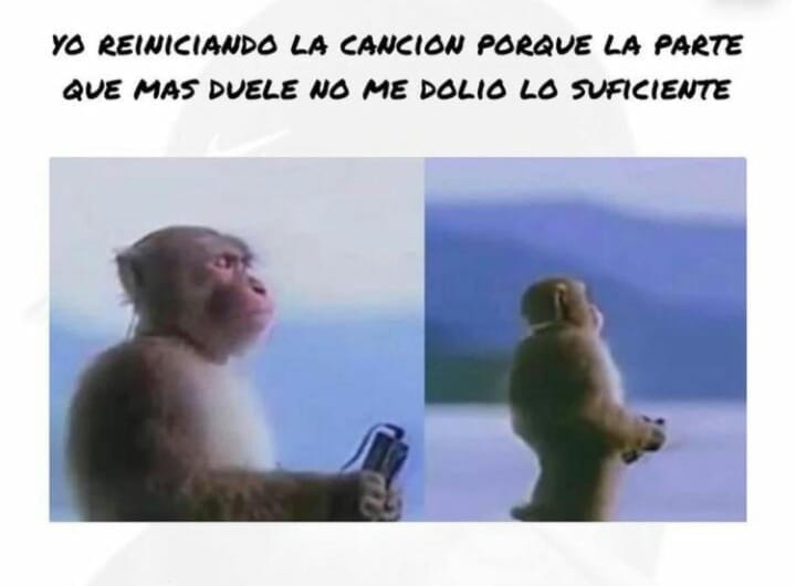 Post 5 by ✽> Cuenta random <✽ |51,4k🌙 on Instagram (image)