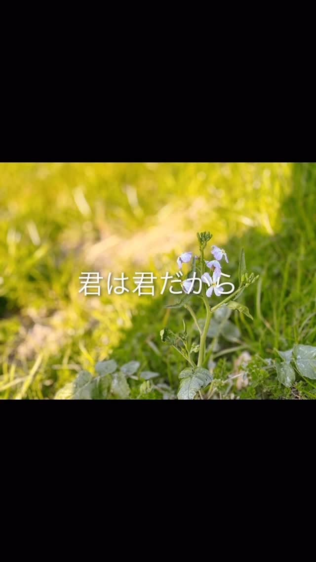 Post 8 by 手島 聖貴 / TESHIMA MASAKI on Instagram (video)